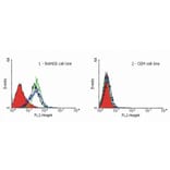 Flow Cytometry - Anti-DR4 Antibody [DR-4-02] (A86116)