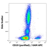 Flow Cytometry - Anti-CD19 Antibody [4G7] (A86117)