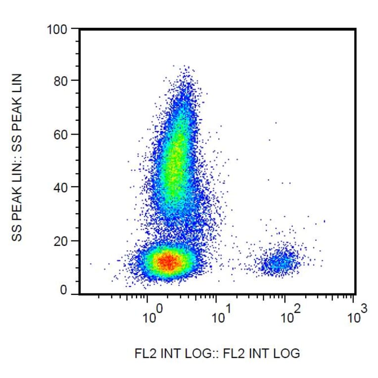 Flow Cytometry - Anti-CD19 Antibody [4G7] (Biotin) (A86118)