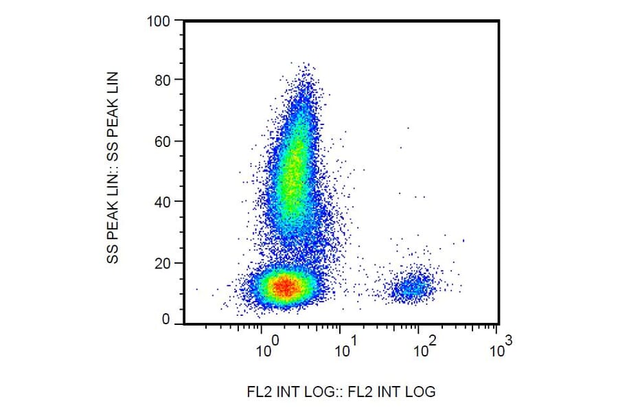 Flow Cytometry - Anti-CD19 Antibody [4G7] (Biotin) (A86117) - Antibodies.com