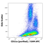 Flow Cytometry - Anti-CD11a Antibody [MEM-25] (A86123)