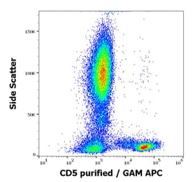 Flow Cytometry - Anti-CD5 Antibody [MEM-32] (A86134)