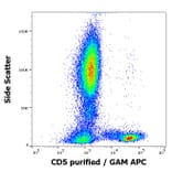 Flow Cytometry - Anti-CD5 Antibody [MEM-32] (A86134)