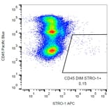 Flow Cytometry - Anti-STRO-1 Antibody [STRO-1] (APC) (A86135)