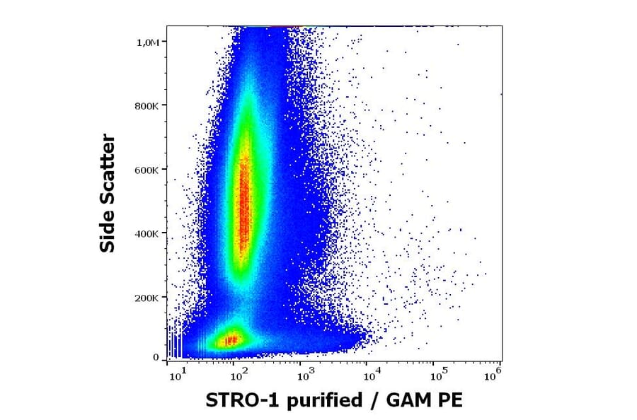 Flow Cytometry - Anti-STRO-1 Antibody [STRO-1] (A86137)