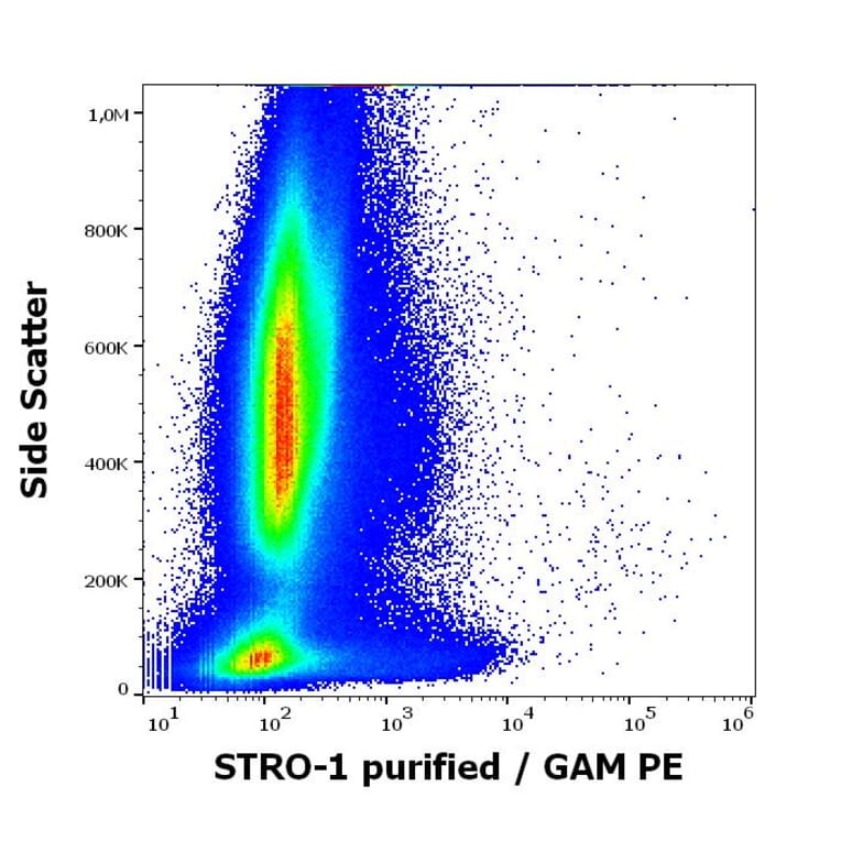 Flow Cytometry - Anti-STRO-1 Antibody [STRO-1] (A86137)