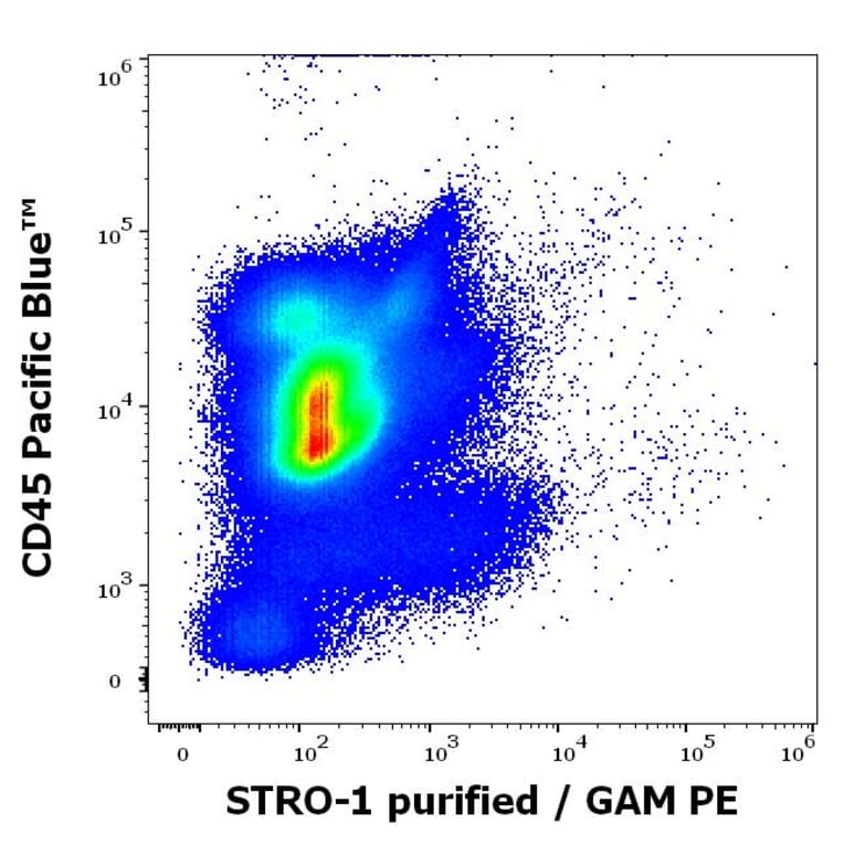 Flow Cytometry - Anti-STRO-1 Antibody [STRO-1] (A86137)