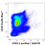 Flow Cytometry - Anti-STRO-1 Antibody [STRO-1] (A86137)