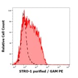 Flow Cytometry - Anti-STRO-1 Antibody [STRO-1] (A86137)