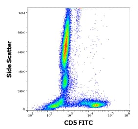 Flow Cytometry - Anti-CD5 Antibody [CRIS1] (FITC) (A86147)