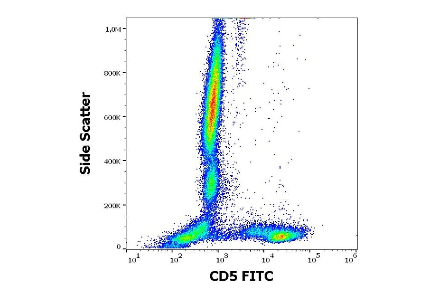 Flow Cytometry - Anti-CD5 Antibody [CRIS1] (FITC) (A86147)