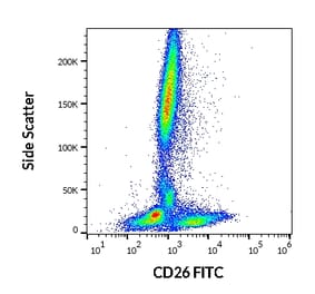 Flow Cytometry - Anti-DPP4 Antibody [BA5b] (FITC) (A86149)
