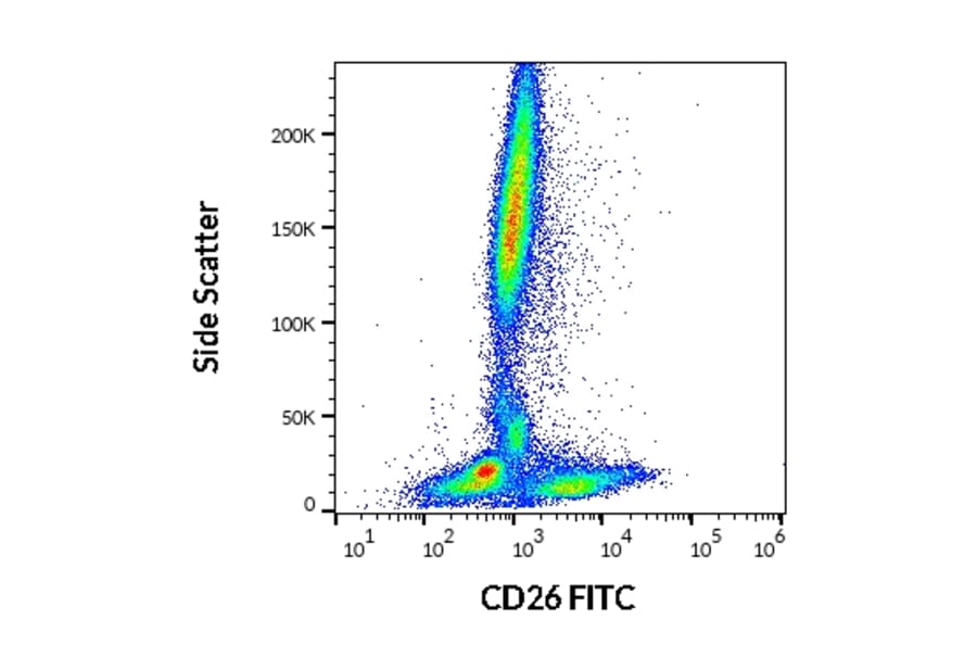Flow Cytometry - Anti-DPP4 Antibody [BA5b] (FITC) (A86149)