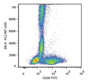 Flow Cytometry - Anti-CD26 Antibody [BA5b] (FITC) (A86146) - Antibodies.com