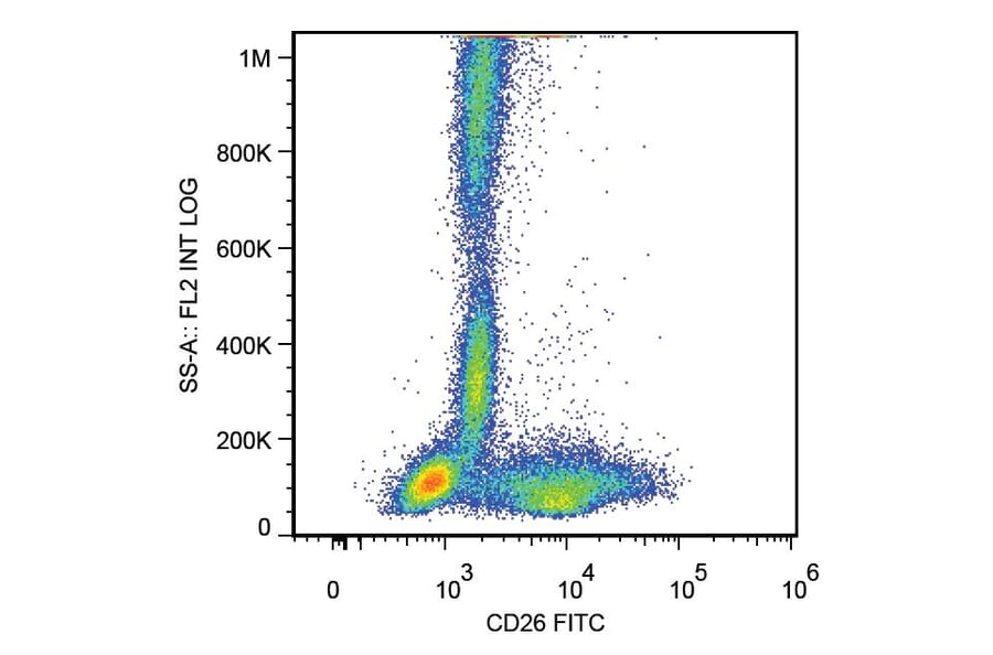 Flow Cytometry - Anti-CD26 Antibody [BA5b] (FITC) (A86146) - Antibodies.com