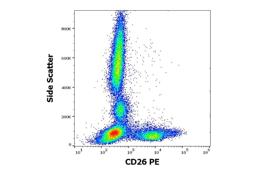 Flow Cytometry - Anti-DPP4 Antibody [BA5b] (PE) (A86152)