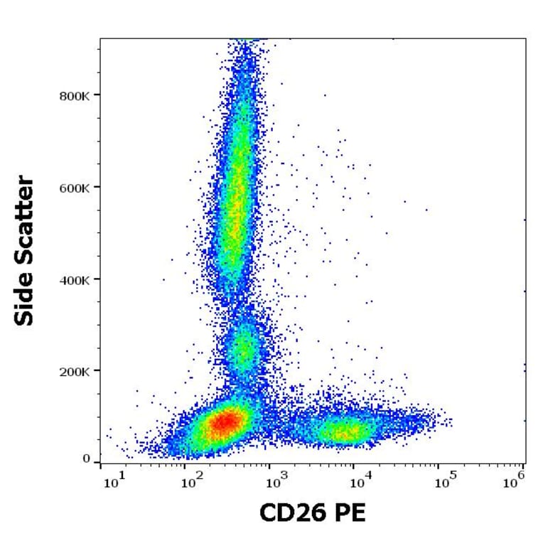 Flow Cytometry - Anti-DPP4 Antibody [BA5b] (PE) (A86152)