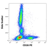 Flow Cytometry - Anti-DPP4 Antibody [BA5b] (PE) (A86152)