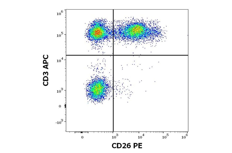 Flow Cytometry - Anti-DPP4 Antibody [BA5b] (PE) (A86152)