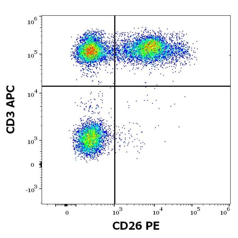 Flow Cytometry - Anti-DPP4 Antibody [BA5b] (PE) (A86152)