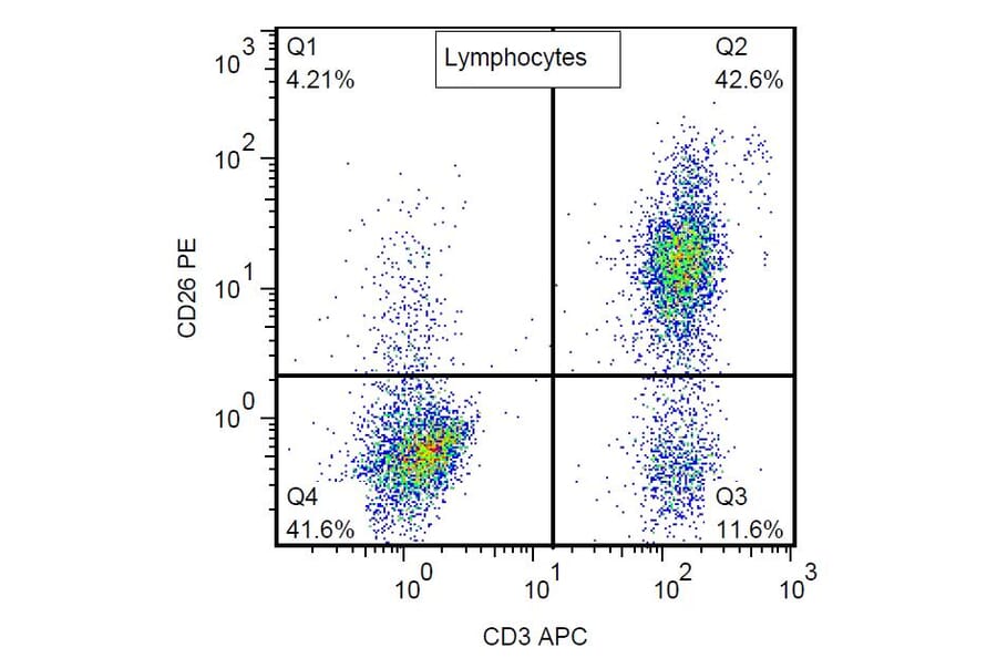 Flow Cytometry - Anti-CD26 Antibody [BA5b] (PE) (A86151) - Antibodies.com
