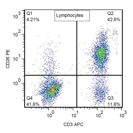 Flow Cytometry - Anti-CD26 Antibody [BA5b] (PE) (A86151) - Antibodies.com