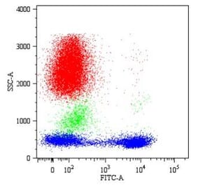 Flow Cytometry - Anti-CD5 Antibody [CRIS1] (A86153)