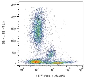 Flow Cytometry - Anti-CD26 Antibody [BA5b] (A86154) - Antibodies.com