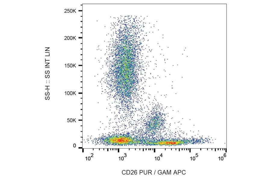 Flow Cytometry - Anti-CD26 Antibody [BA5b] (A86154) - Antibodies.com