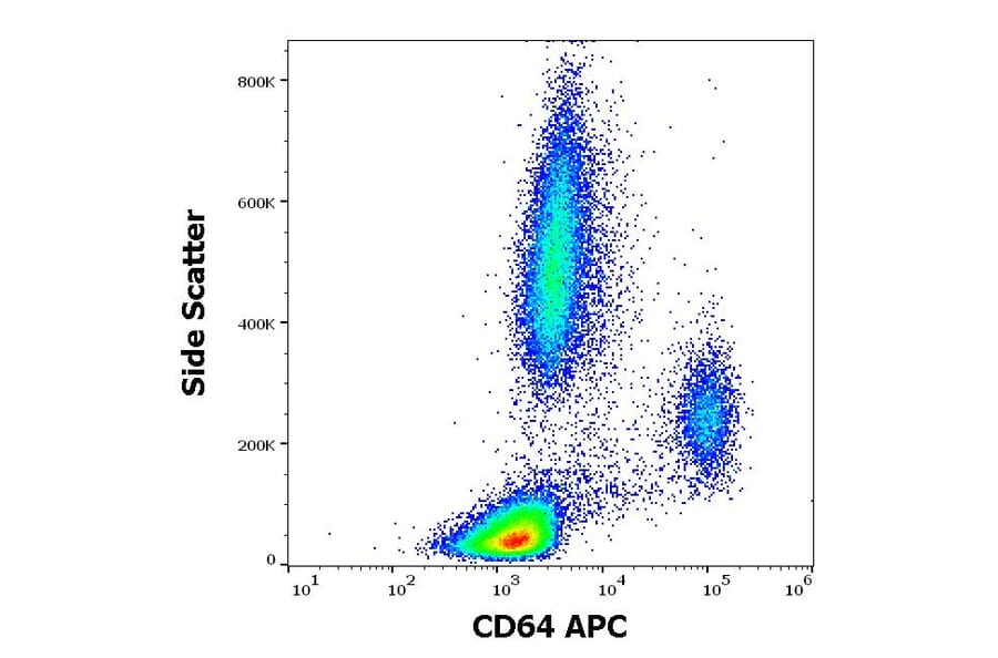 Flow Cytometry - Anti-CD64 Antibody [10.1] (APC) (A86156)