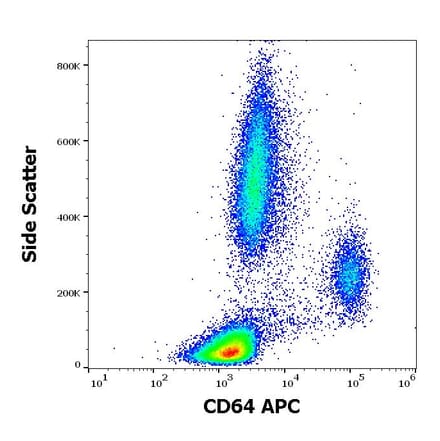 Flow Cytometry - Anti-CD64 Antibody [10.1] (APC) (A86156)