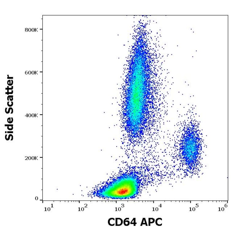 Flow Cytometry - Anti-CD64 Antibody [10.1] (APC) (A86156)