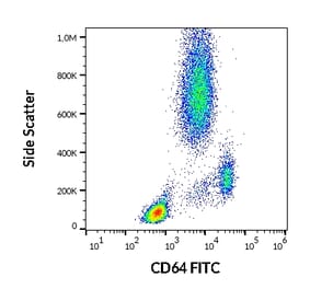 Flow Cytometry - Anti-CD64 Antibody [10.1] (FITC) (A86157)