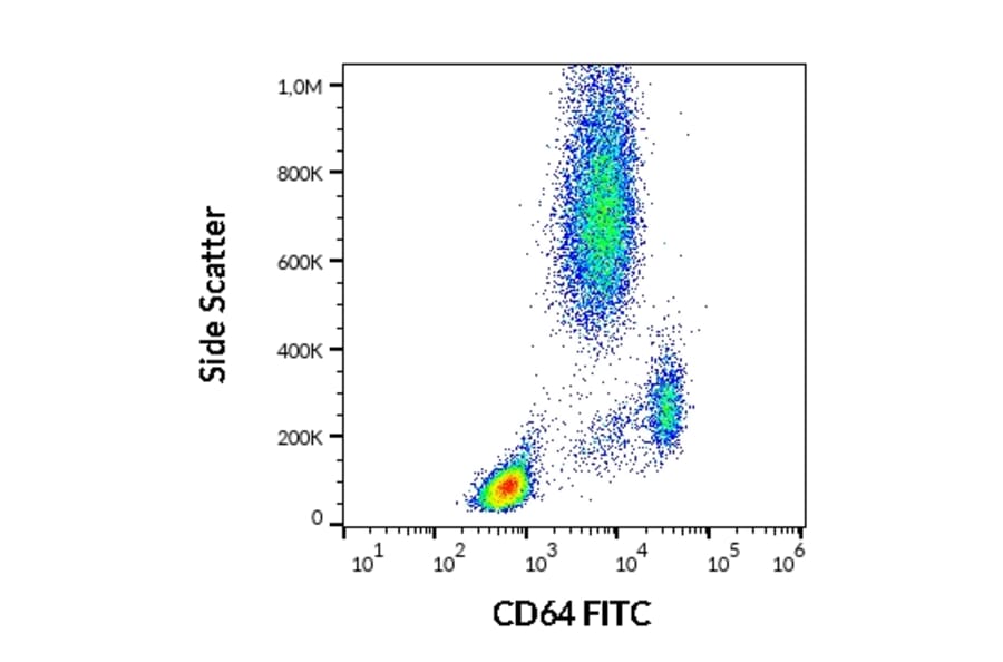 Flow Cytometry - Anti-CD64 Antibody [10.1] (FITC) (A86157)