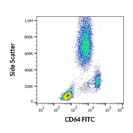 Flow Cytometry - Anti-CD64 Antibody [10.1] (FITC) (A86157)