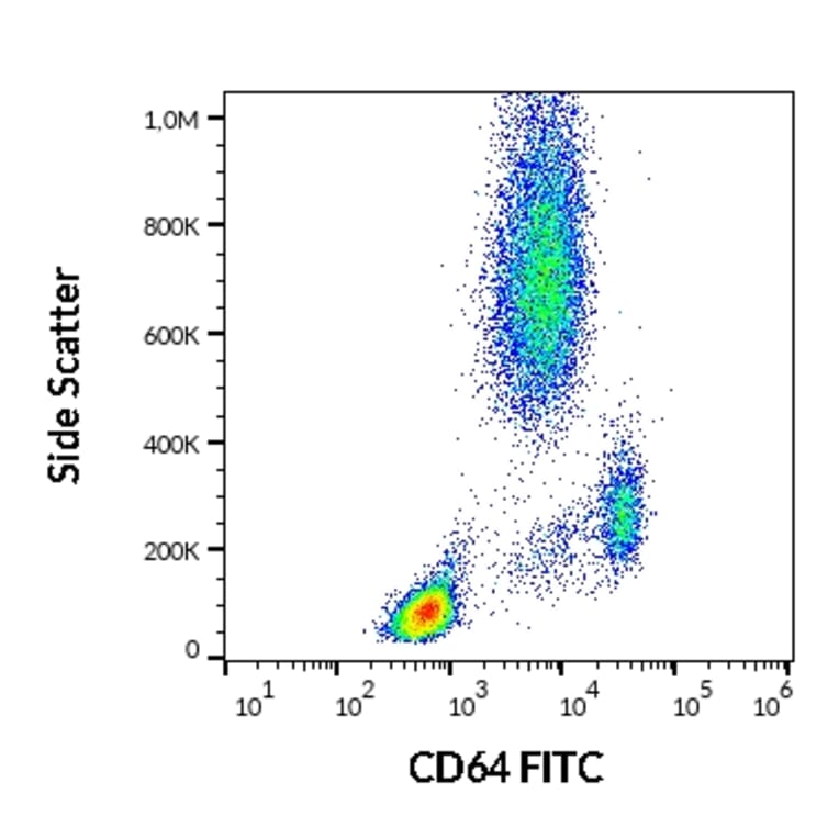Flow Cytometry - Anti-CD64 Antibody [10.1] (FITC) (A86157)