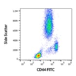 Flow Cytometry - Anti-CD64 Antibody [10.1] (FITC) (A86157)