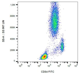 Flow Cytometry - Anti-CD64 Antibody [10.1] (FITC) (A86155) - Antibodies.com