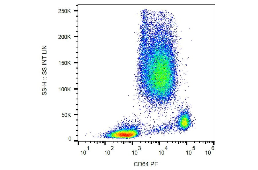 Flow Cytometry - Anti-CD64 Antibody [10.1] (PE) (A86158)