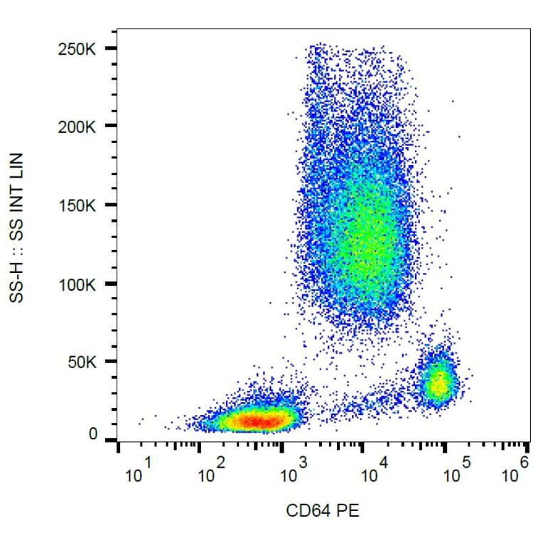 Flow Cytometry - Anti-CD64 Antibody [10.1] (PE) (A86158)