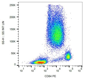 Flow Cytometry - Anti-CD64 Antibody [10.1] (PE) (A86157) - Antibodies.com