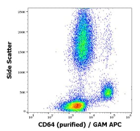 Flow Cytometry - Anti-CD64 Antibody [10.1] (A86160)