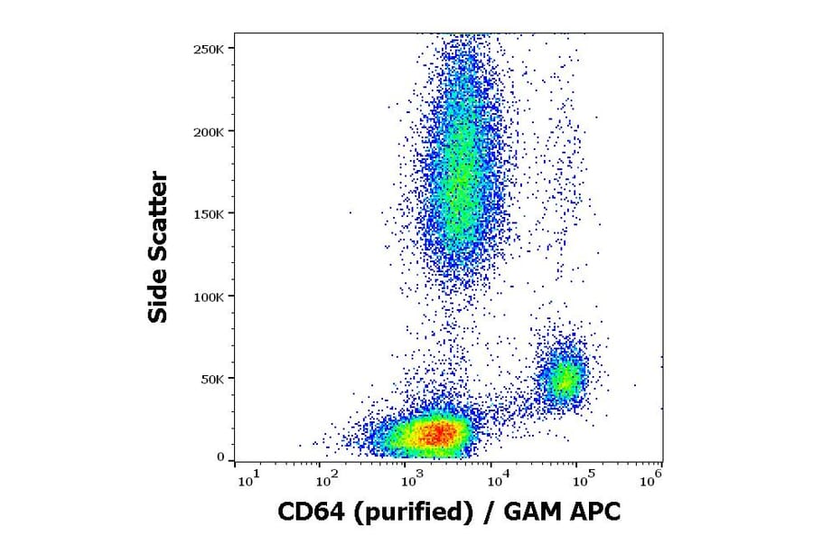 Flow Cytometry - Anti-CD64 Antibody [10.1] (A86160)