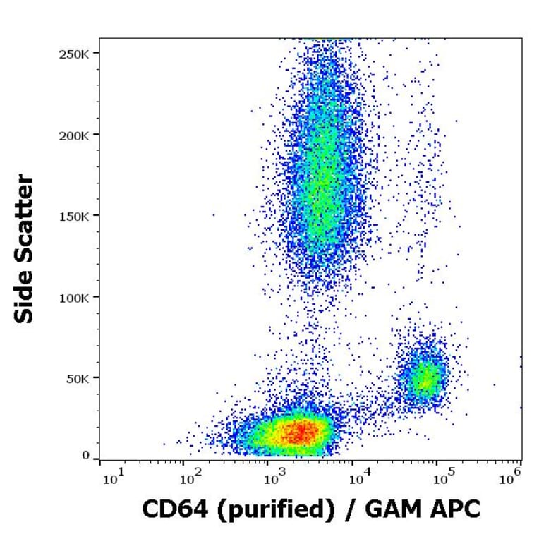 Flow Cytometry - Anti-CD64 Antibody [10.1] (A86160)