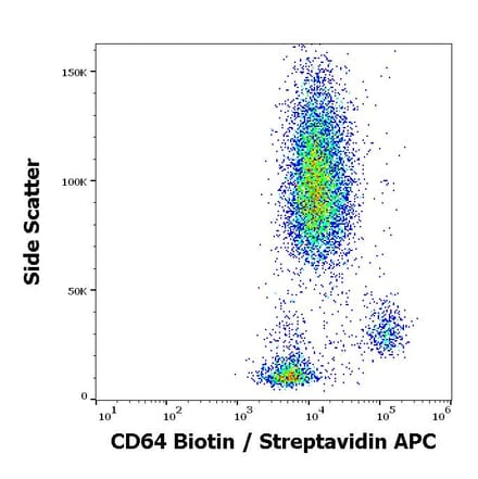 Flow Cytometry - Anti-CD64 Antibody [10.1] (Biotin) (A86161)