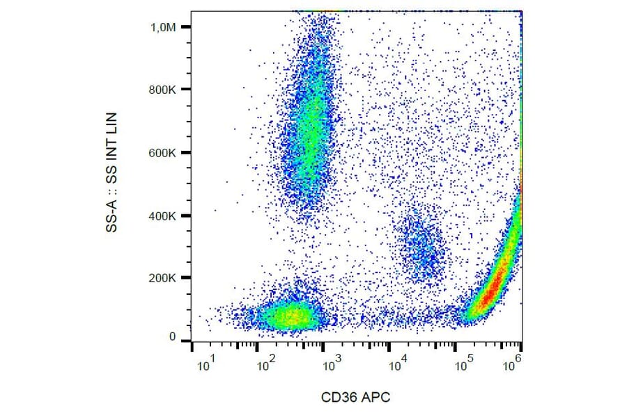 Flow Cytometry - Anti-CD36 Antibody [CB38] (APC) (A86173)