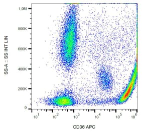 Flow Cytometry - Anti-CD36 Antibody [CB38 (NL07)] (APC) (A86172) - Antibodies.com
