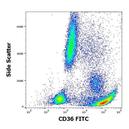Flow Cytometry - Anti-CD36 Antibody [CB38] (FITC) (A86174)