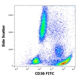 Flow Cytometry - Anti-CD36 Antibody [CB38] (FITC) (A86174)