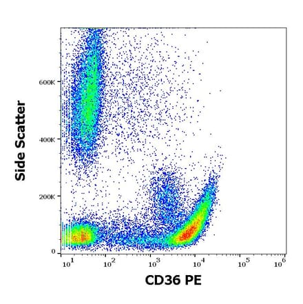 Flow Cytometry - Anti-CD36 Antibody [CB38] (PE) (A86175)